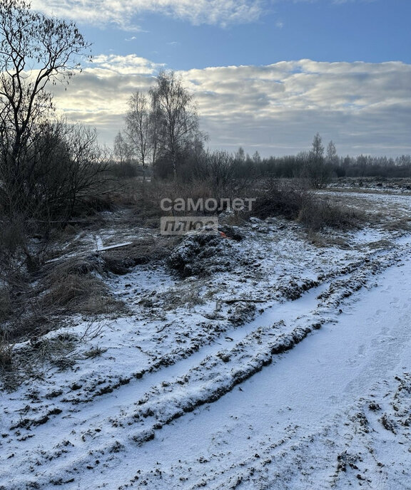 земля городской округ Раменский д Сидорово фото 23