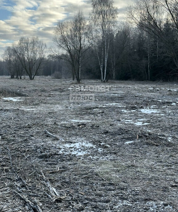 земля городской округ Раменский д Сидорово фото 28