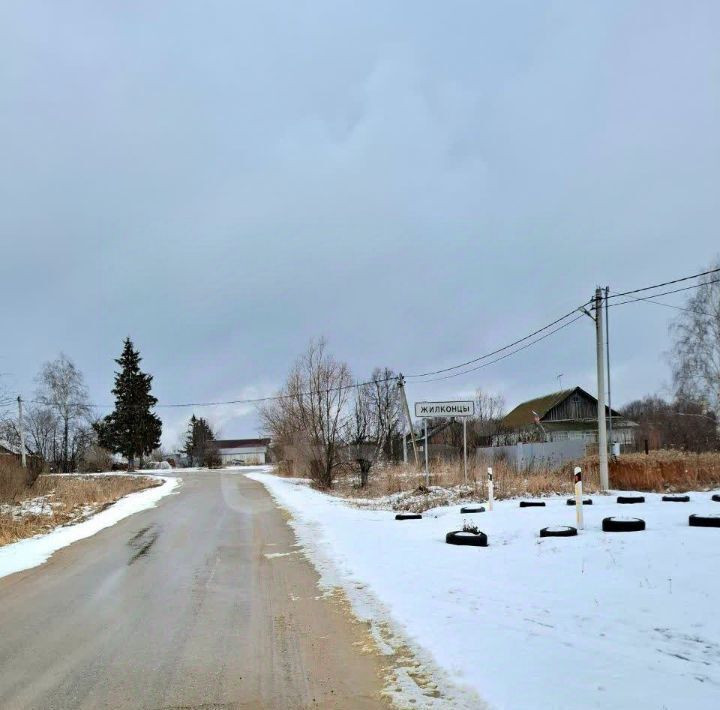 земля городской округ Зарайск д Жилконцы фото 15