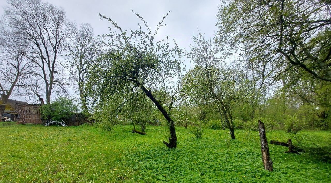 дом р-н Гусевский п Маяковское ул Заречная фото 12