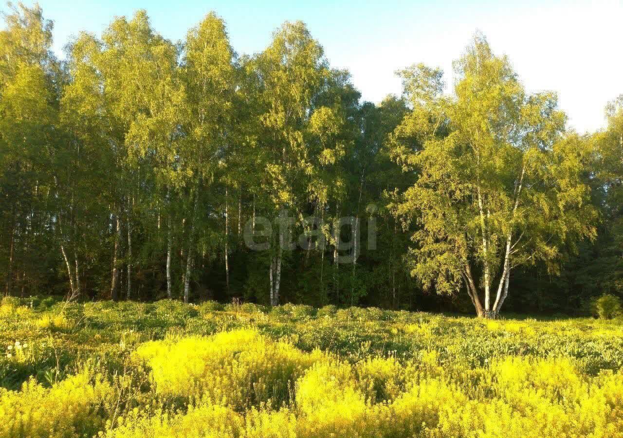 земля городской округ Пушкинский 19 км, КП Сова, Пушкино, Ярославское шоссе фото 5