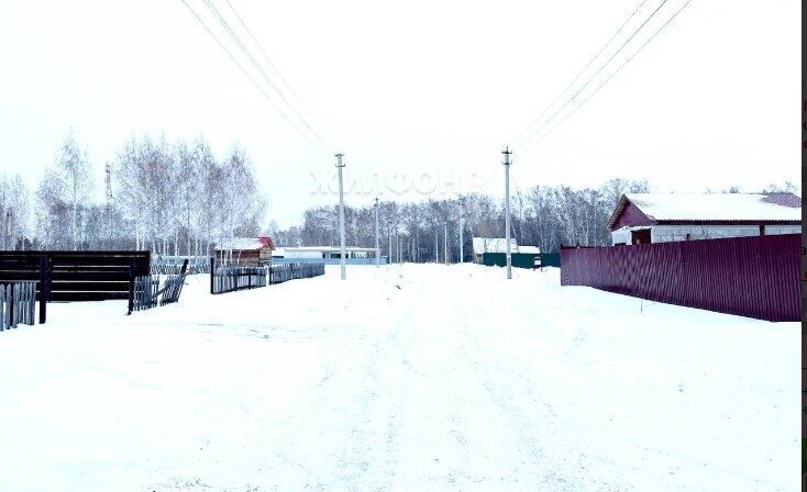 земля р-н Новосибирский с Боровое ул Лунная фото 1