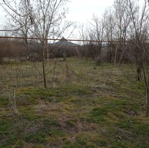 г Сальск Кучур-да ул Чайковского Сальское городское поселение фото