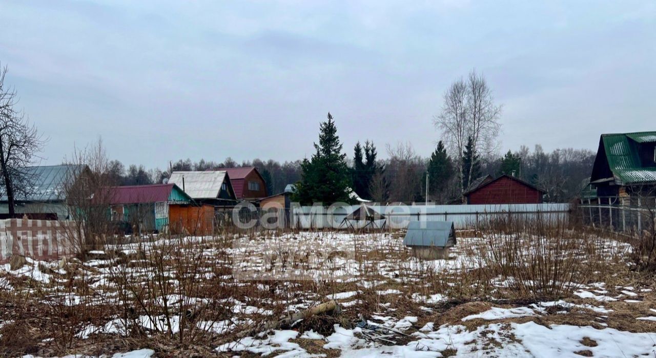 земля городской округ Талдомский г Талдом снт Дружба просека № 16Б фото 1