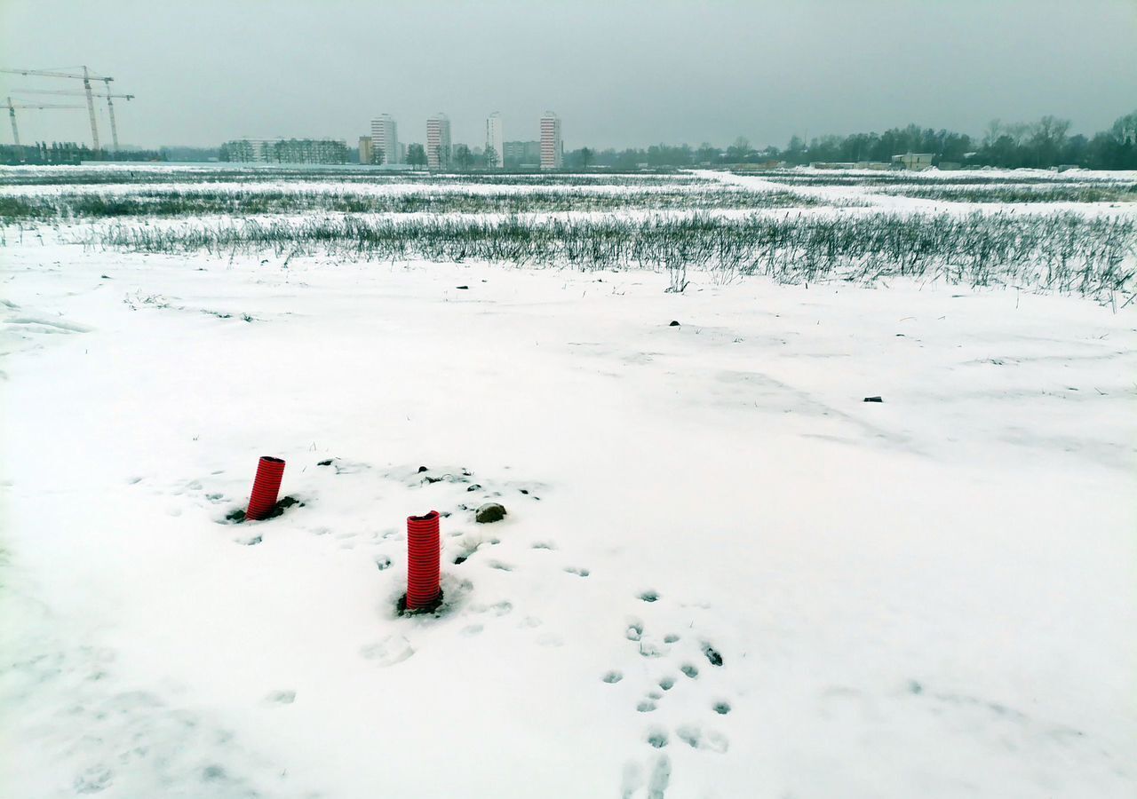 земля городской округ Пушкинский 20 км, Пушкино, Ярославское шоссе фото 9