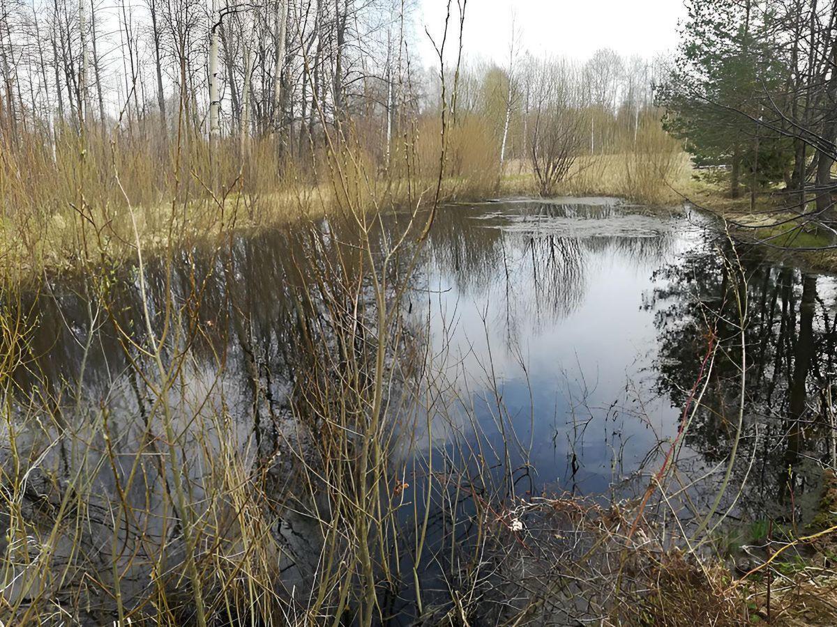 дом городской округ Талдомский с Спас-Угол улица Салтыкова-Щедрина, 41, Талдом фото 22