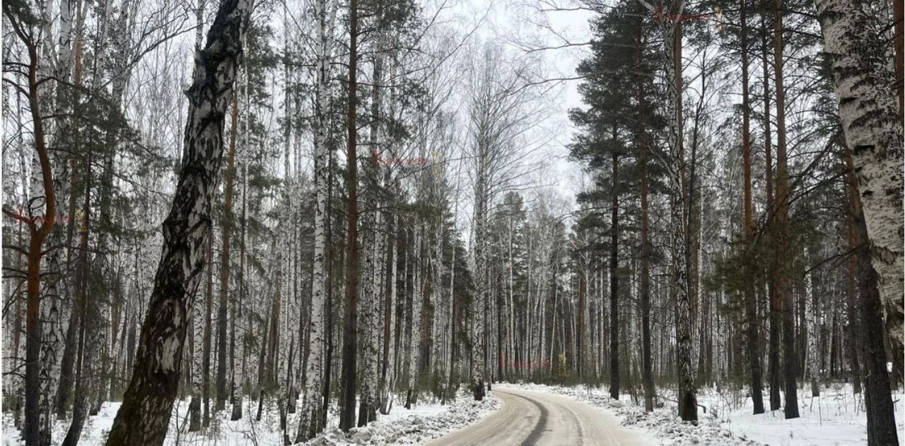 земля г Екатеринбург р-н Чкаловский Ботаническая Улесье кп, ул. Улесье фото 7