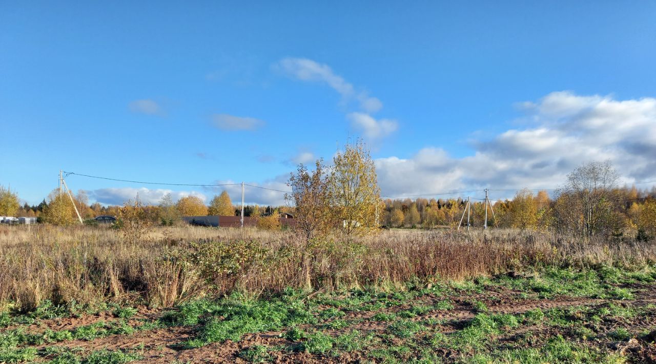 земля городской округ Дмитровский д Сазонки Форест кп фото 1