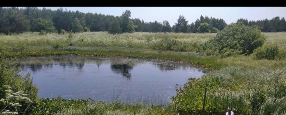 дом р-н Арзамасский д Красная Поляна ул Солнечный порядок 5 Арзамас городской округ фото 12