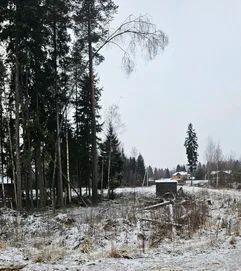 земля снт Заречное Сертоловское городское поселение, ул. Омская, Всеволожский район фото