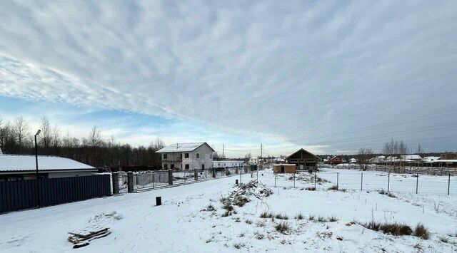 Колтушское городское поселение, Коркинское СНТ, Улица Дыбенко фото