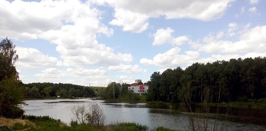 квартира г Москва метро Щелковская ул Советская 44а Московская область, Балашиха фото 2