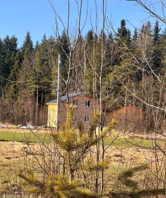 земля городской посёлок Форносово, Дачная улица фото 6