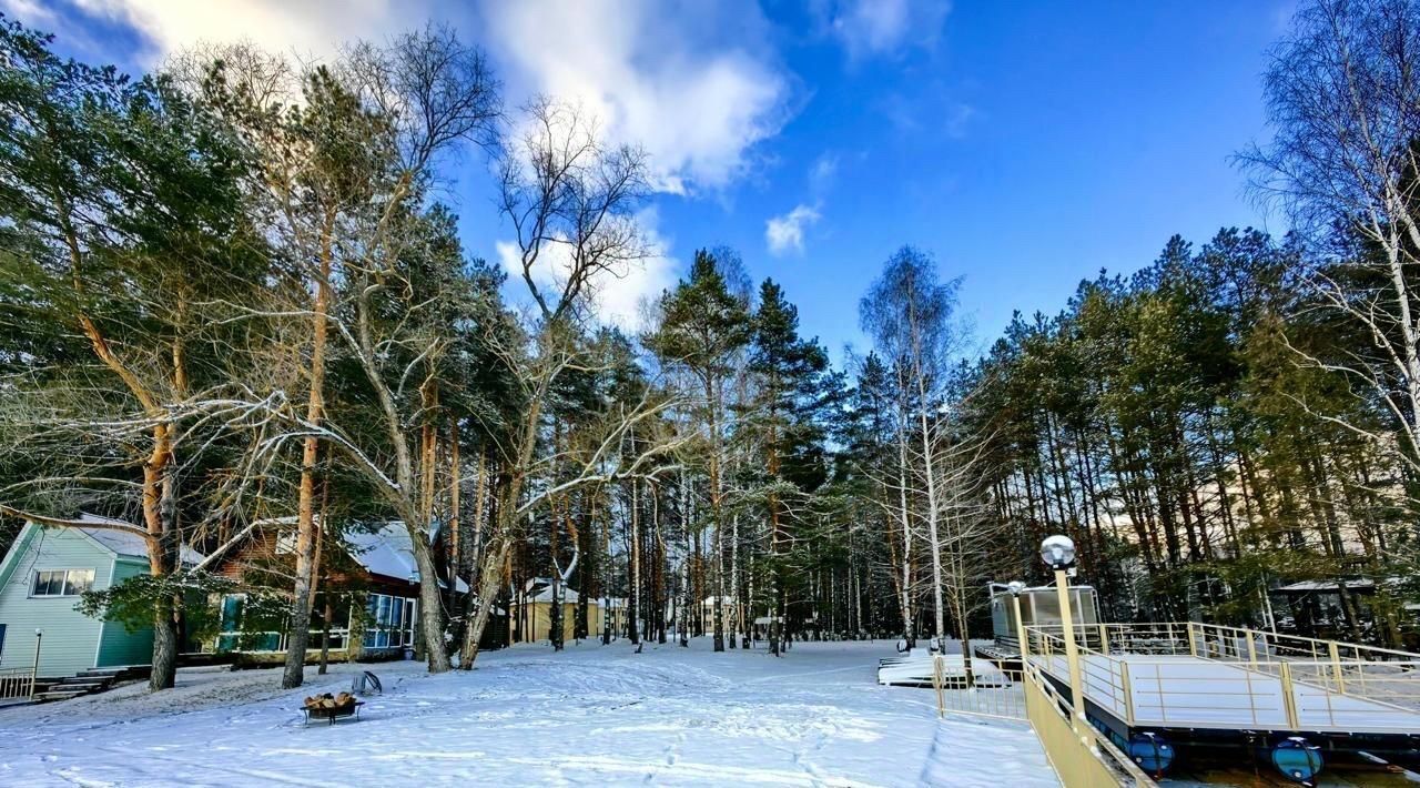 дом городской округ Шатура д Великодворье фото 16