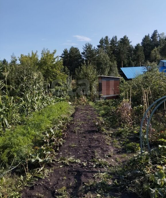 дом г Горно-Алтайск ул Макария Глухарева фото 2