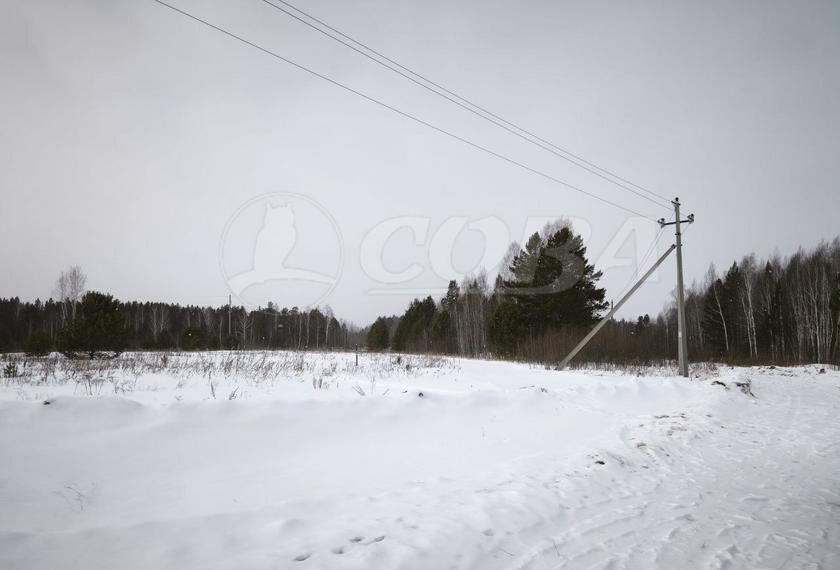 земля р-н Нижнетавдинский д Мияги Каскара фото 1