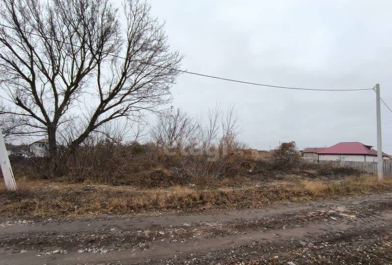 земля р-н Белгородский п Дубовое р-н мкр Северный СТ Северяне, Северный фото 3