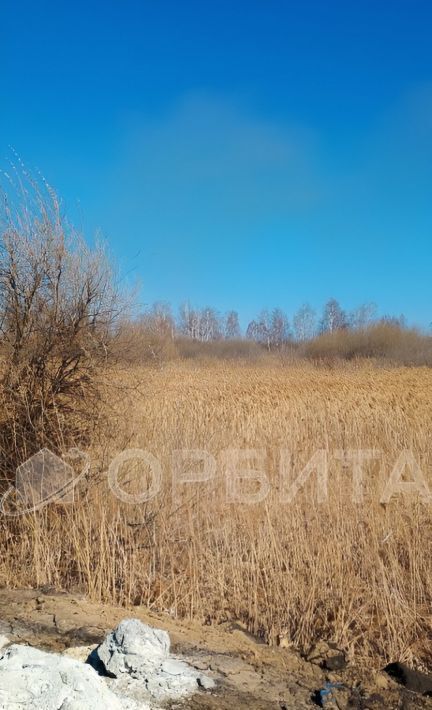 земля р-н Нижнетавдинский снт У сосны садоводческое товарищество фото 4