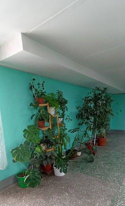 комната г Пермь р-н Орджоникидзевский ул Генерала Черняховского 72а фото 16