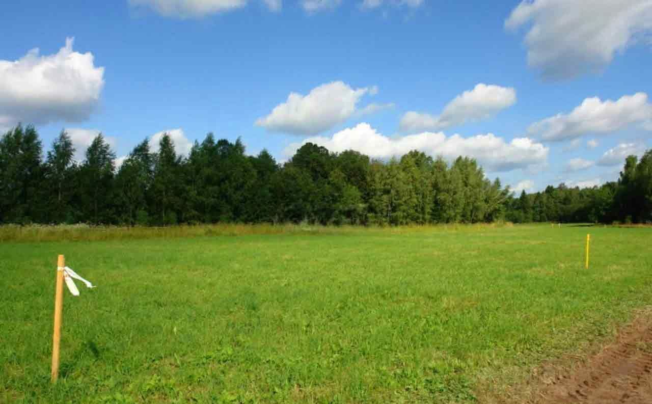 земля городской округ Подольск 19 км, д. Жарково, Варшавское шоссе фото 4