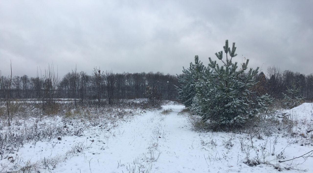 земля городской округ Пушкинский д Цернское фото 1