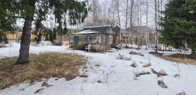 Рощинское городское поселение, СНТ Великое фото