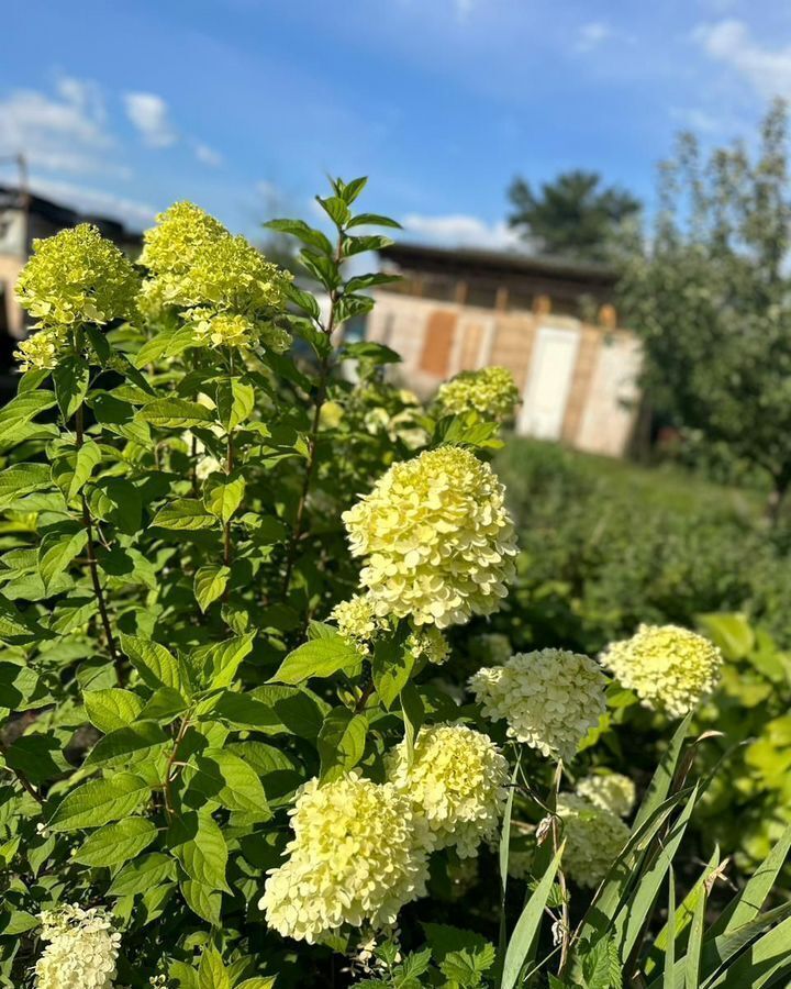 дом р-н Каширский с Каменно-Верховка Каменно-Верховское сельское поселение, Нововоронеж фото 4