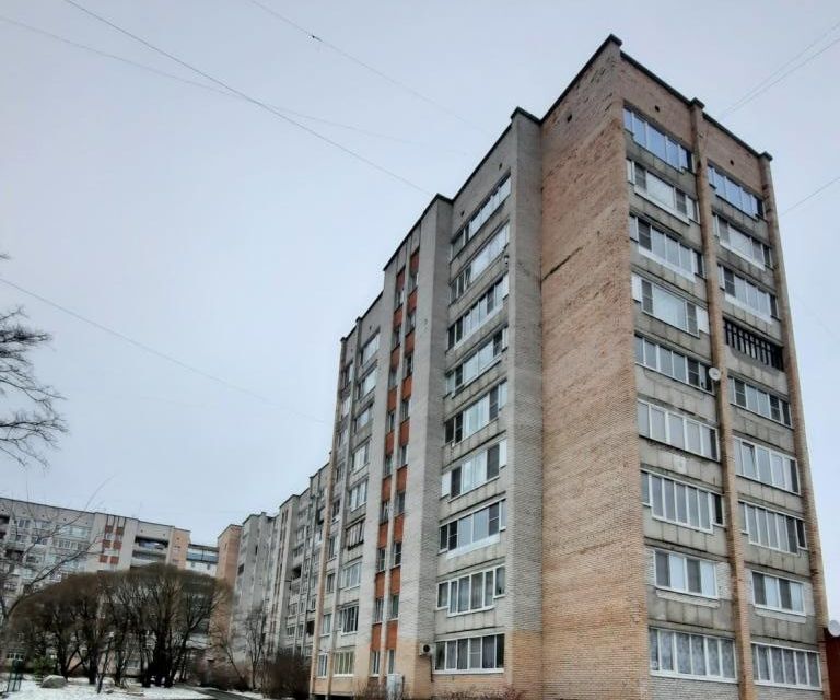 квартира г Сосновый Бор пр-кт Героев 29 Сосновоборский городской округ фото 2