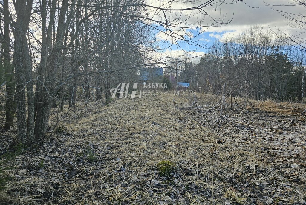 земля городской округ Рузский д Новокурово фото 3