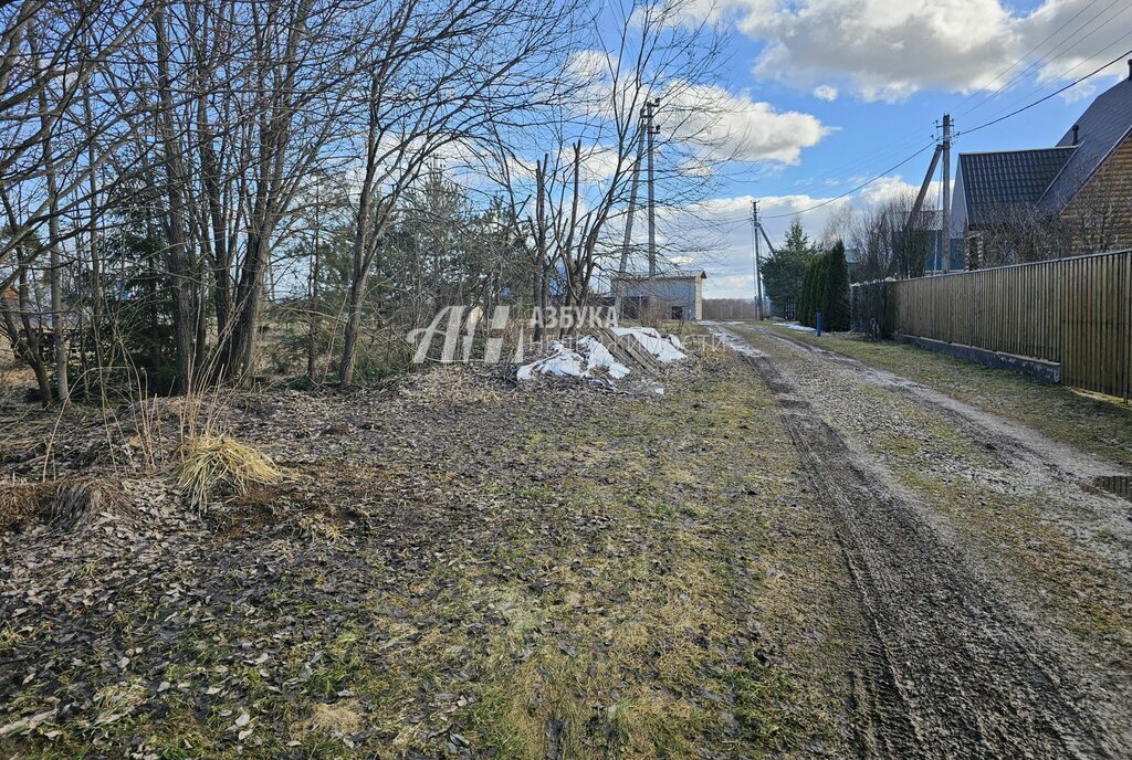 земля городской округ Рузский д Новокурово фото 8