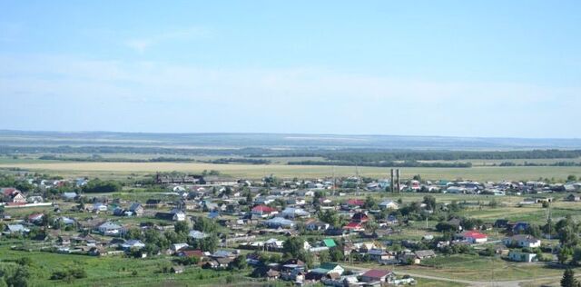 земля с Большая Каменка ул Лесная фото