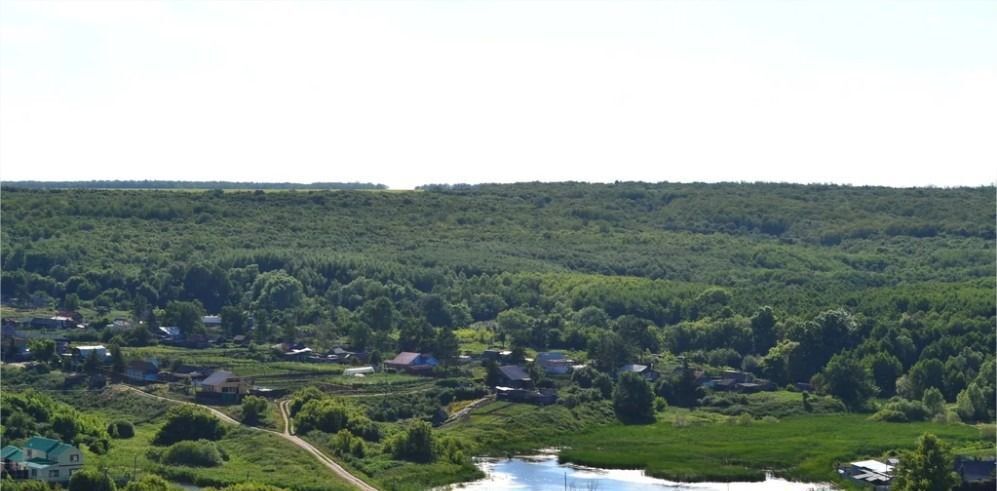 земля р-н Красноярский с Большая Каменка ул Лесная фото 4