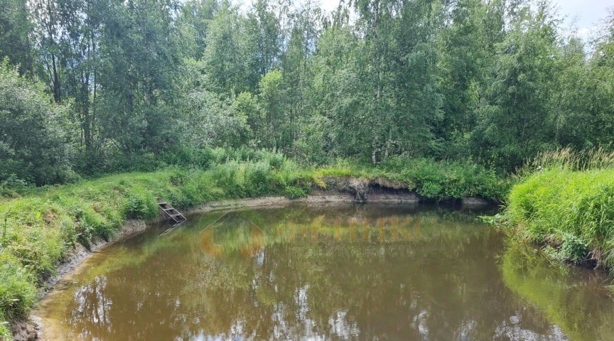 земля р-н Выборгский Рощинское городское поселение, Великое СНТ, 126 фото 12