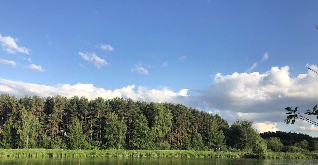 дом городской округ Раменский д Вялки ул Лесная Удельная фото 1