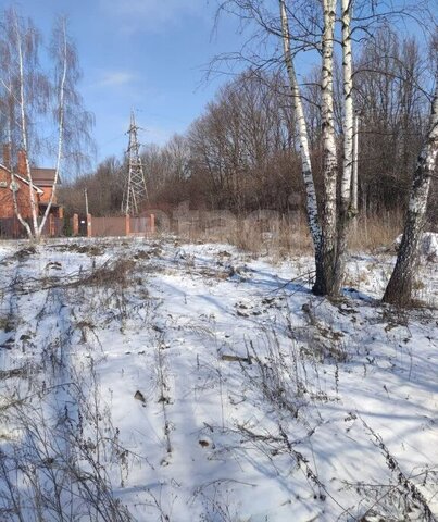 ОНТ Лира, Домодедовская фото