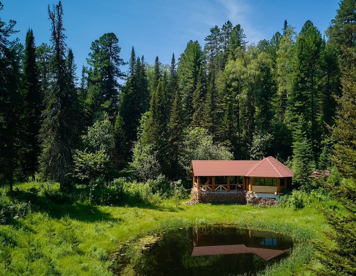 земля р-н Турочакский с Артыбаш Турочак фото 9