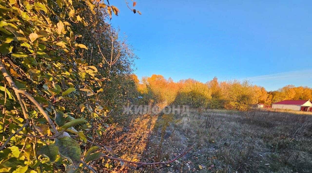 земля р-н Хохольский с Хохол ул Майская Хохольское городское поселение фото 1