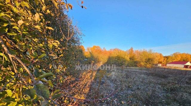 земля ул Майская Хохольское городское поселение фото