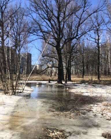 ЖК «Раменское-парк» Фабричная, Раменский муниципальный округ фото