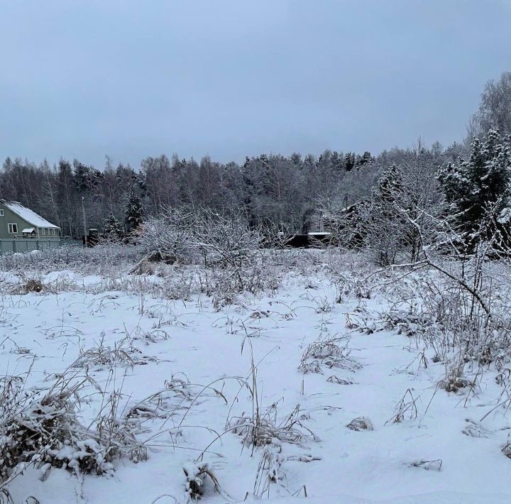 земля городской округ Воскресенск с Константиново фото 1