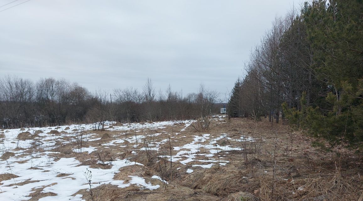 земля городской округ Наро-Фоминский д Назарьево фото 1