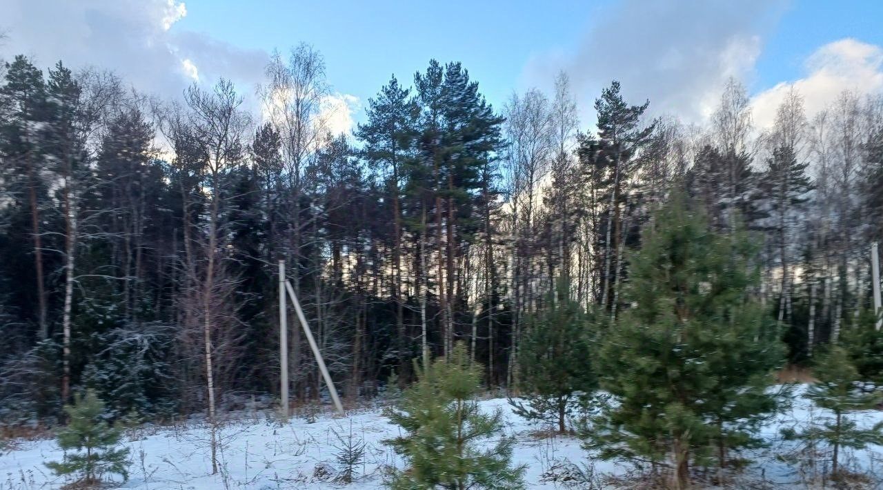 земля городской округ Сергиево-Посадский д Торгашино фото 1