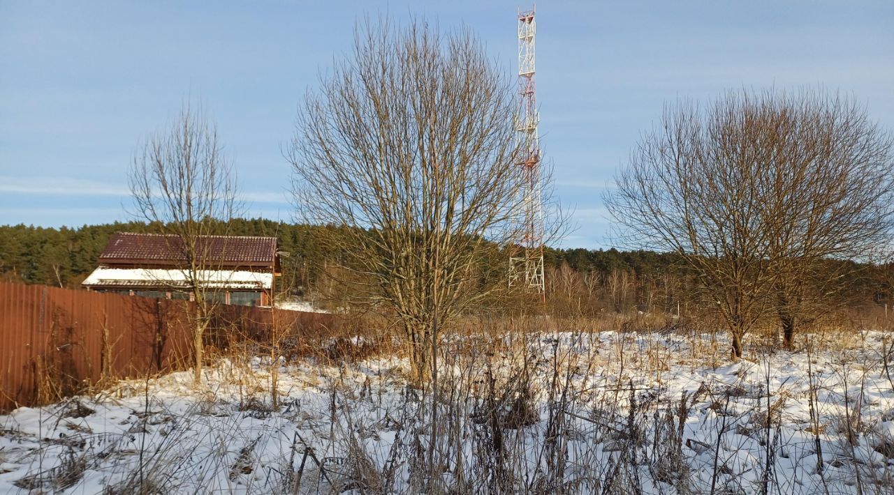 земля городской округ Наро-Фоминский д Ревякино фото 1