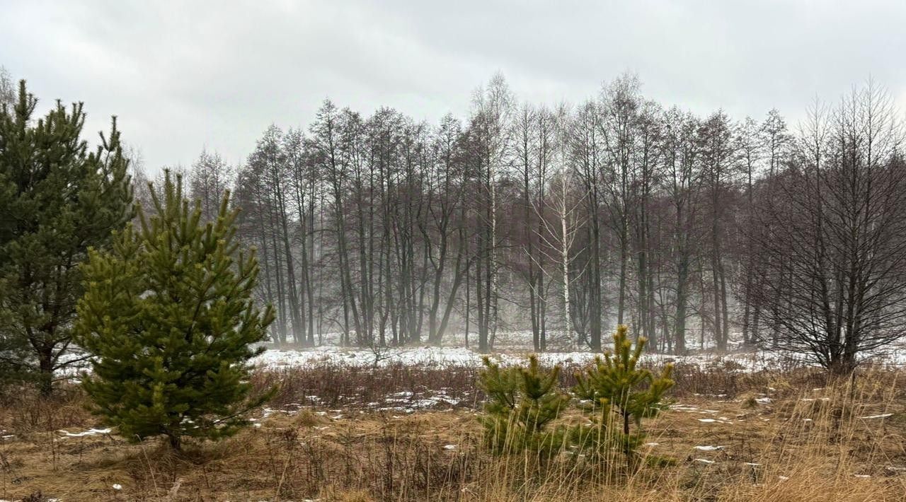 земля городской округ Богородский д Соколово фото 1