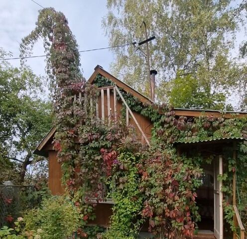 Зодчий садовое товарищество, Нахабино, 39 фото