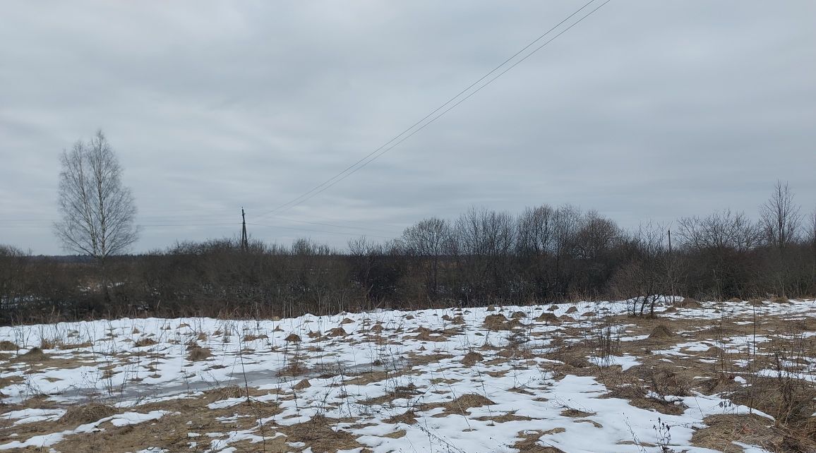 земля городской округ Наро-Фоминский д Назарьево фото 2