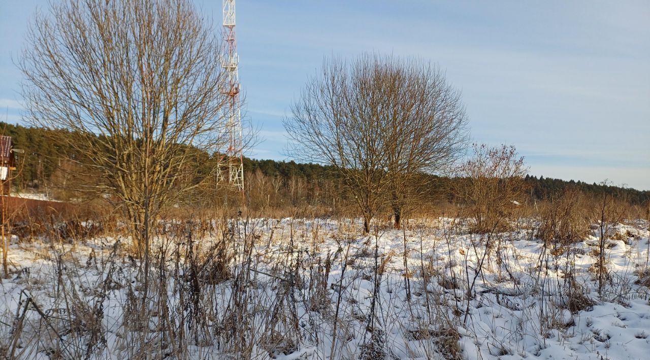 земля городской округ Наро-Фоминский д Ревякино фото 2