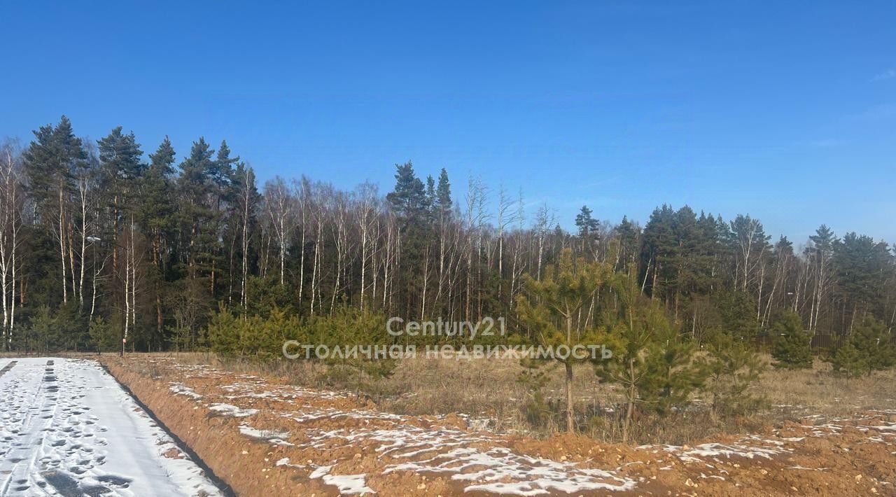 земля городской округ Серпухов д Семеновское фото 4