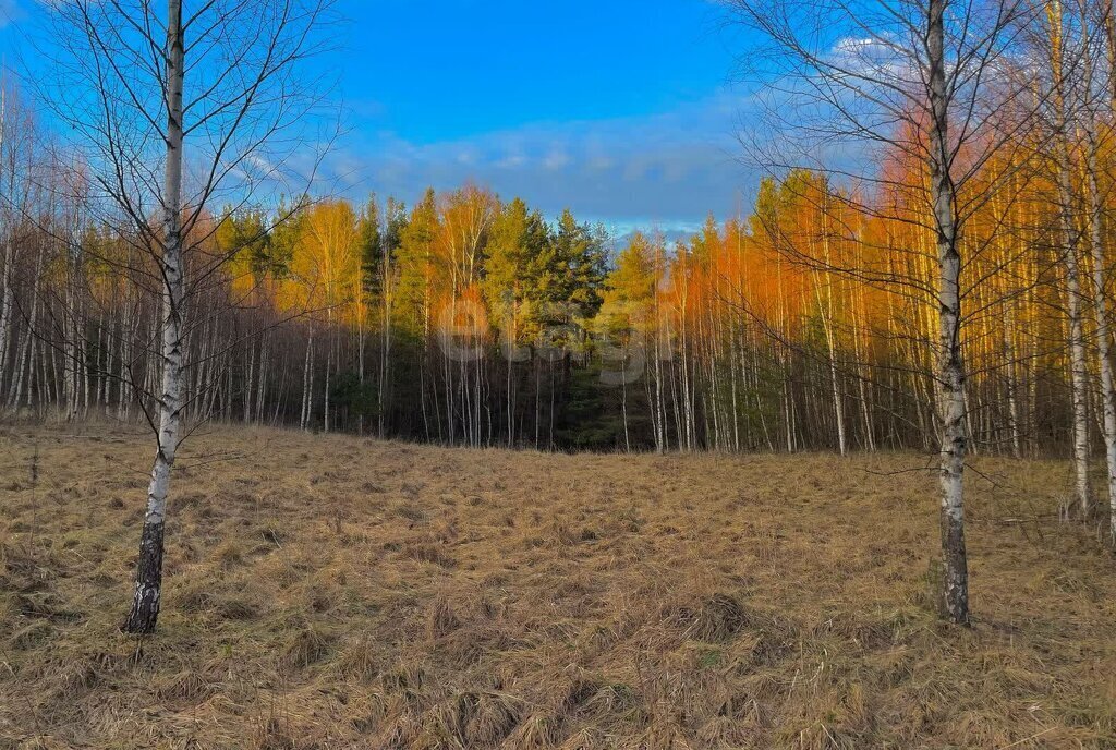 земля р-н Печорский д Кудина Гора фото 1