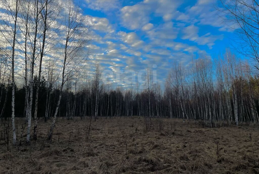 земля р-н Печорский д Кудина Гора фото 3